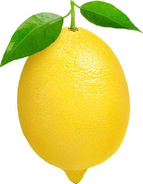 Lemon Yellow Citrus Free Photo On Pixabay Pixabay