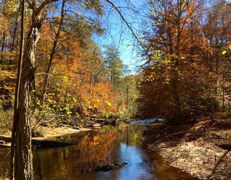 Explore Prince William Forest Park In Northern Virginia