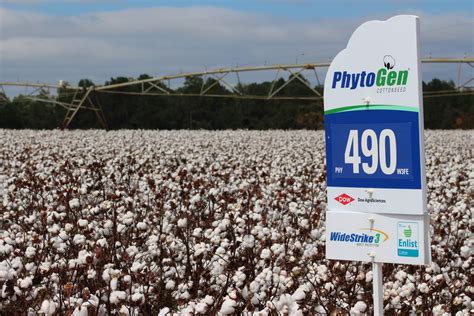 Phytogen Rolls Out Seven New Enlist Varieties For 2017 Cotton Grower