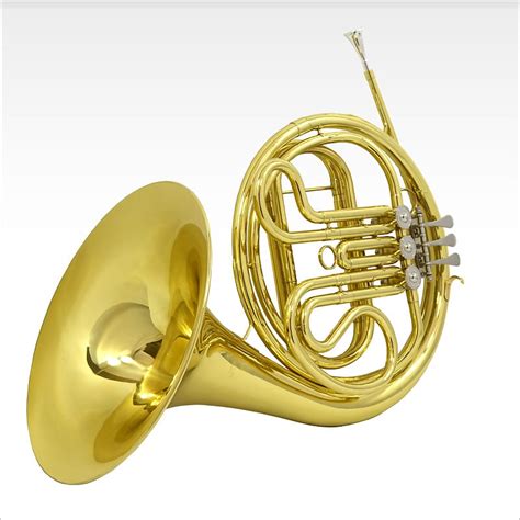 Schiller American Heritage French Horn Single Bb Reverb