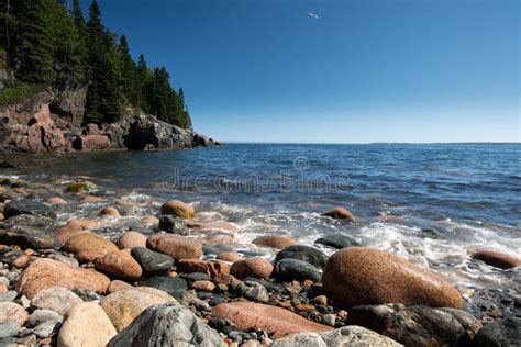 Beautiful Rocky Beach In Bar Harbor Maine Usa Stock Image Image Of