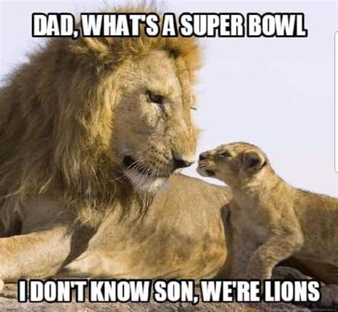 Pin By Marlo And Will French On Quotes Lion Memes Animal Memes Funny