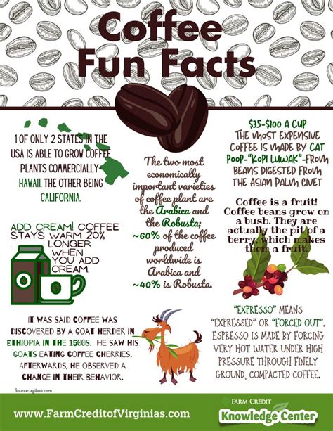 Coffee Fun Facts Fun Facts Facts Infographic