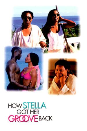 HOW STELLA GOT HER GROOVE BACK 1998 DVD COVER LABEL DVDcover