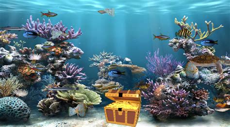 Moving Fish Aquarium Wallpaper Wallpapersafari