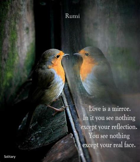 Quotes About Love Birds Word Of Wisdom Mania