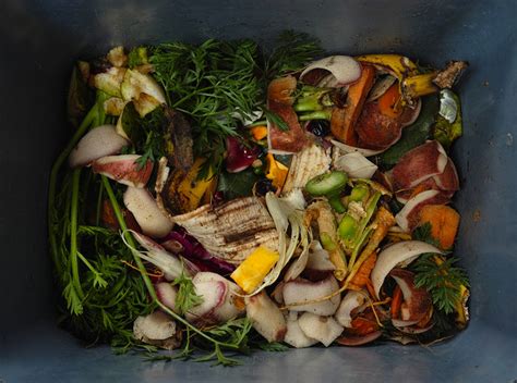 Food loss occurs when food is thrown out or somehow decreases in quality during. 10 Businesses Tackling Food Waste | ClearlySo