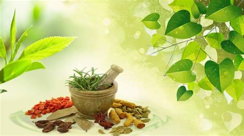 Download Ayurveda Wallpapers High Quality For Free Wallpaper Mo