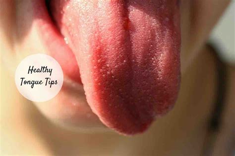 The problem with just wordnet is that it doesn't include all words so the 'word meaning' search looks for the criteria in the meaning of every word in the dictionary. Healthy Tongue Tips: The Ayurvedic Guide To Tongue Hygiene