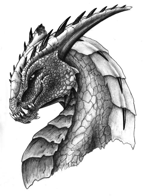 The pose is ready, so now let's add some body to this bare. Pin by Adventure Man on Good drawings | Cool dragon ...