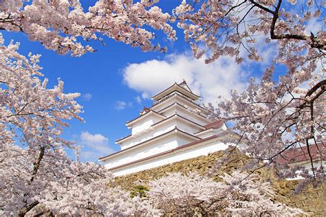 野県 岐阜県 静岡県 愛知県 三重県 滋賀県 京都府 大阪府 兵庫県 奈良県 和歌山県 鳥取県 島根県 岡山県 広島県 山口県 徳島県 香川県 愛媛県 高知県 福岡県. 福島県観光物産交流協会 | 福島市 福島県