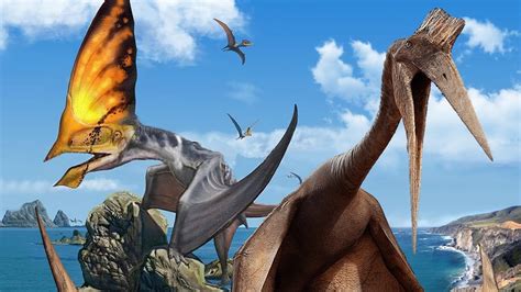Top 10 Largest Flying Dinosaurs Youtube