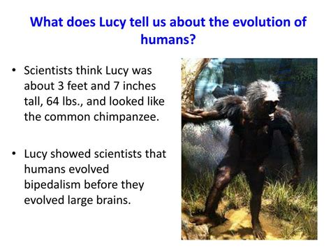 Ppt Meet Lucy Powerpoint Presentation Free Download Id2518830