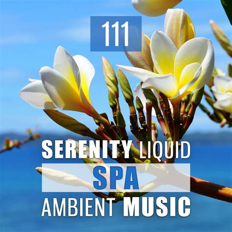 111 Serenity Liquid Spa Ambient Music Oriental Zen Relaxation Peace Of Mind Ultimate Wellness