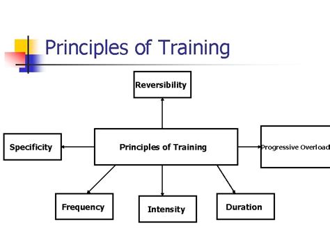 National 5 Physical Education Principles Of Training Physical