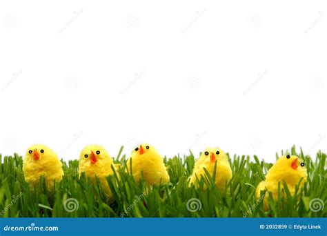 Easter Chicken Hatching Out Of Egg Royalty Free Stock Image