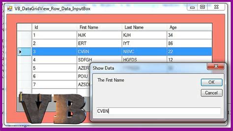 VB NET Get Selected Row Values From DataGridView To InputBox In VB