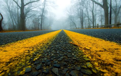 Empty Yellow Road Surface Marking Between Trees Hd Wallpaper