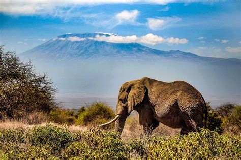10 Mind Blowing Kenya National Parks And Reserves You Cant Afford To