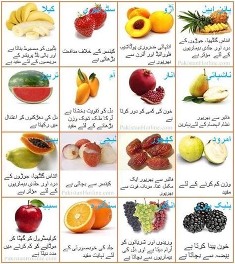 Health Benefits Of 16 Common Fruits In Urdu Pakistan Hotline