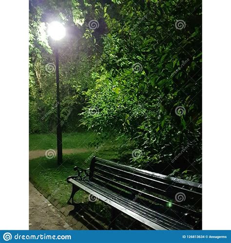Bench In The Park Night Time Stock Photo Image Of Last Beautiful