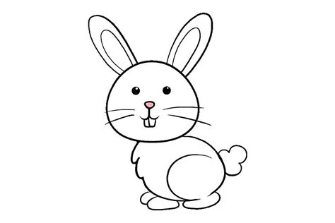 Rabbit Easy Cartoon Drawing Images With Colour Gotasdelorenzo