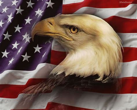 49 American Flag With Eagle Wallpapers Wallpapersafari