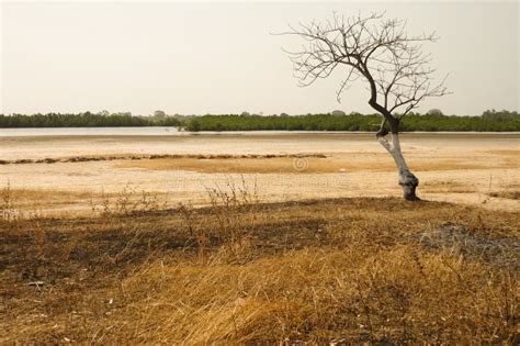 3407 Senegal Landscape Photos Free And Royalty Free Stock Photos From
