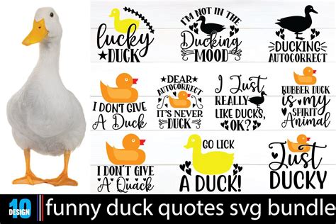 Funny Duck Quotes Svg Bundle Graphic By Shahinrahman312001 · Creative