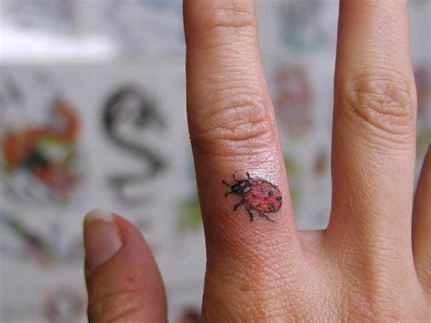 Piercing models is a site for all your piercings and tattoo queries, inspiration, artistic ideas, designs and professional information. Ladybug Tattoos Designs, Ideas and Meaning | Tattoos For You
