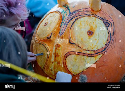 Chadds Ford Pa October 18 View Person Carving Pumpkin At The Great