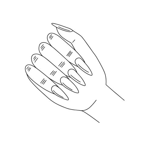 vector woman hand sketch with manicure beautiful woman hand with nails illustration 20580181