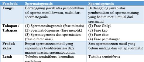 Tabel Perbedaan Spermatogenesis Dan Oogenesis Materi Belajar Online