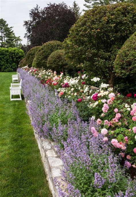 Pin By Laura Ruble On Rose Garden 1 Rose Garden Landscape Beautiful