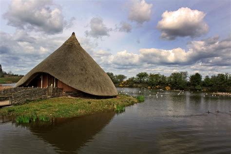 Wwt Castle Espie Day Out With The Kids