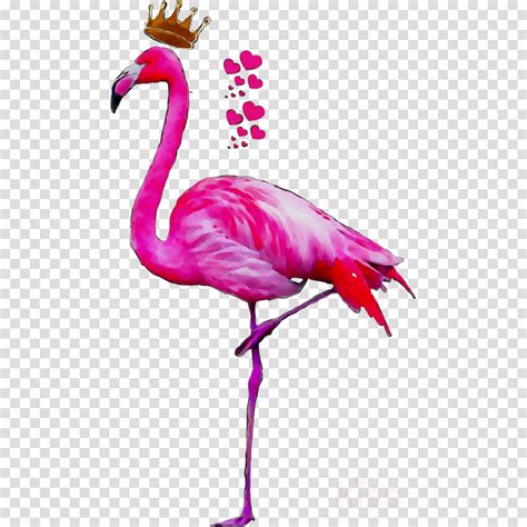 Pink Flamingo Clipart Discoversalo