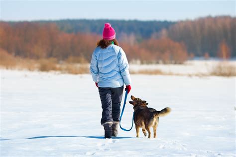 Winter 2023 Specials For Dog Walking - Image to u
