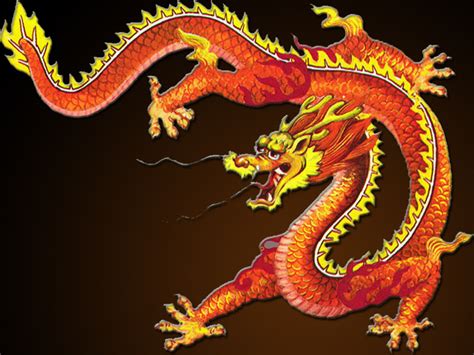 73 Chinese Dragon Wallpaper Wallpapersafari