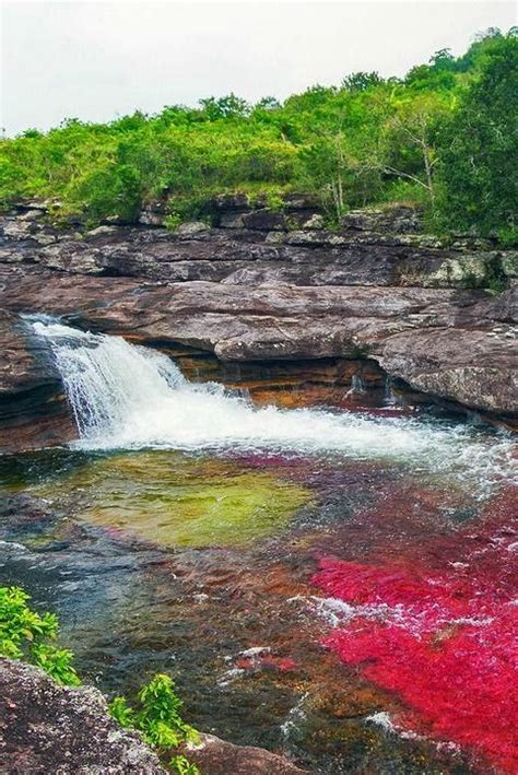 The River Of Five Colorscaño Cristales River Meta Colombia Liquid