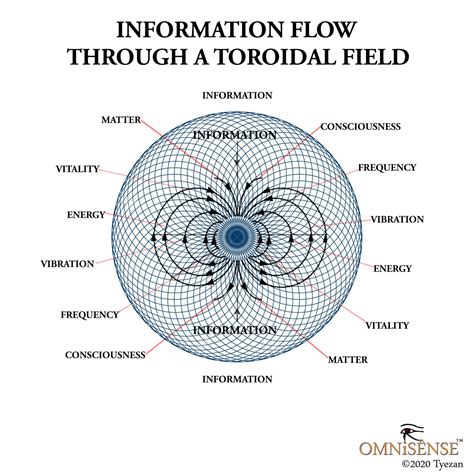 OmnisÊnse™ Information Flow Through A Toroidal Field