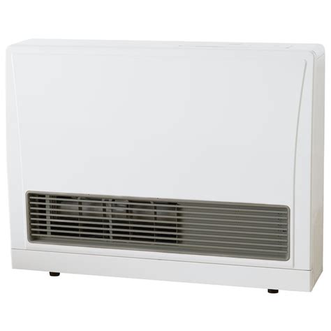 Rinnai 21500 Btu Wall Mount Indoor Natural Gas Convection Heater In The