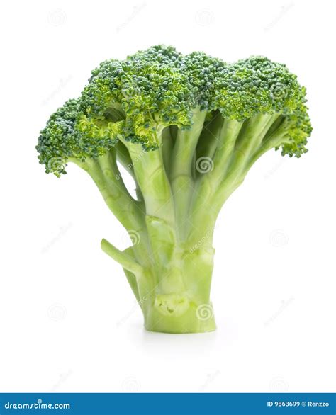 Broccoli Standing Isolated On White Stock Image Image Of Diet Green