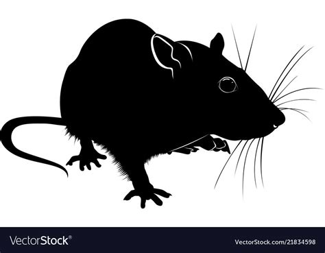 Silhouette Of Rat Isolated On White Background Vector Image