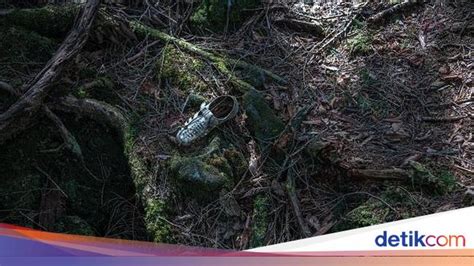 Foto Hutan Tempat Langganan Bunuh Diri Di Jepang