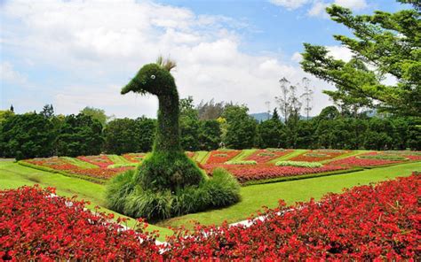 taman bunga nusantara bogor jawa barat terbaru