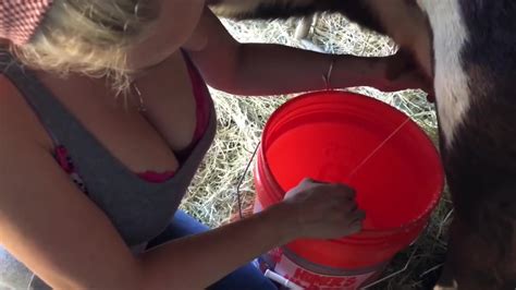 Sexy Sexy Milking Cows By Hand ThisVid