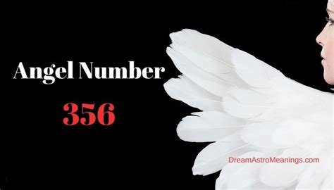 356 Angel Number Meaning And Symbolism Dream Astro Meanings