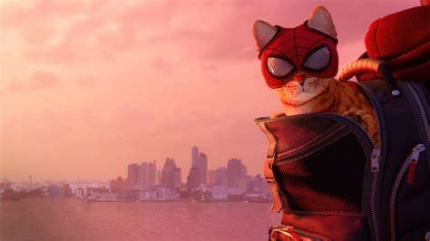 Cat Marvels Spiderman Miles Morales 2021 4k