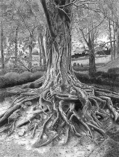 Roots Of Faith Beautiful Pencil Drawing By Palestinian Artist Shehab