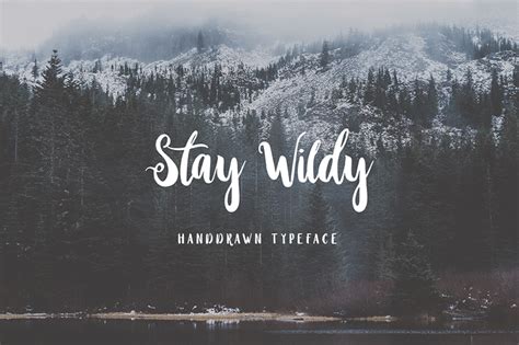 Stay Wildy Font